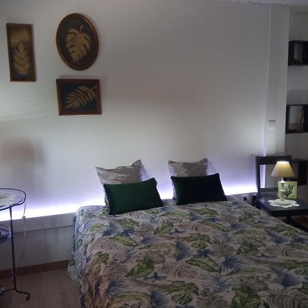 Azevinho Guest House セイア エクステリア 写真