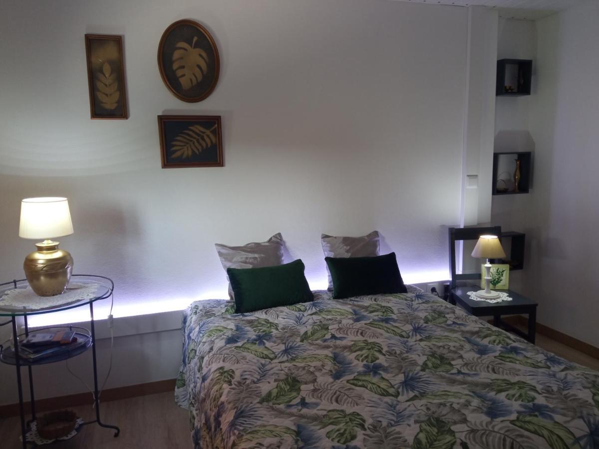 Azevinho Guest House セイア エクステリア 写真