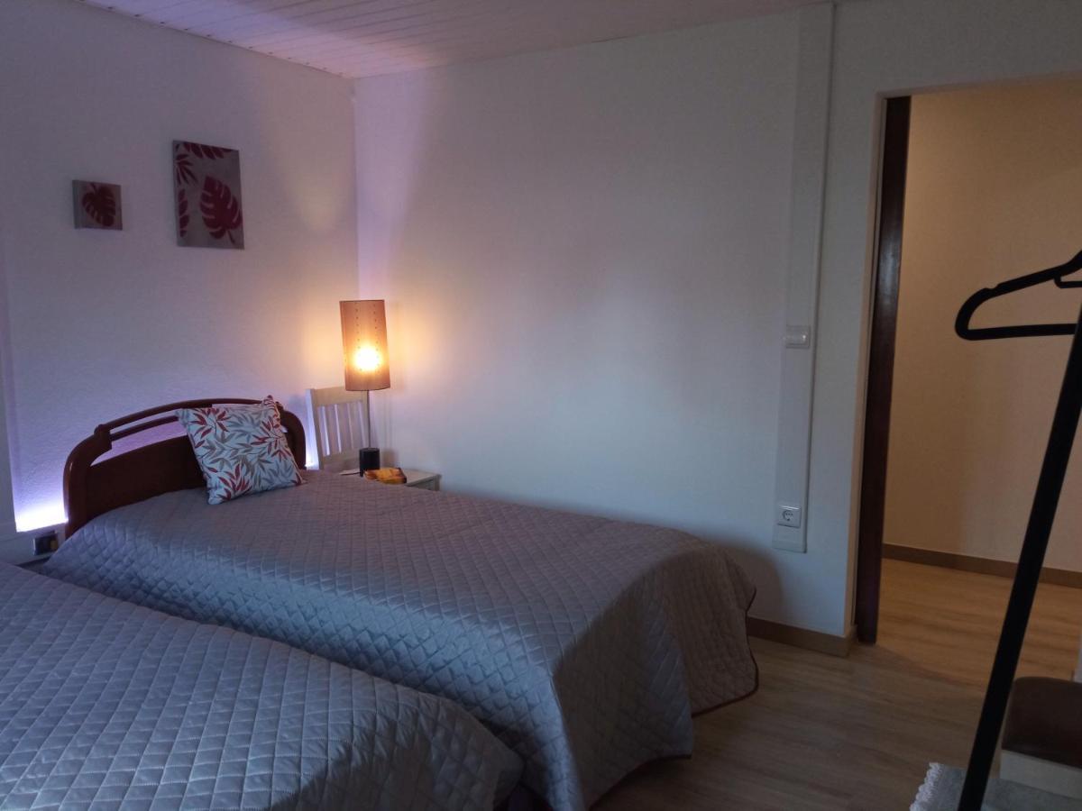 Azevinho Guest House セイア エクステリア 写真